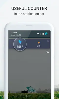 Pedometer android App screenshot 0